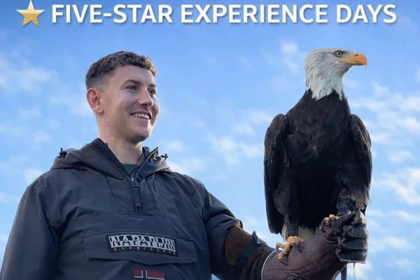 Thirsk Birds of Prey Centre featured image.