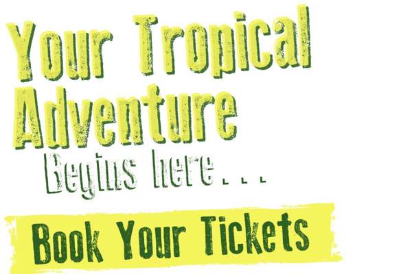 Tropical Butterfly House featured image.