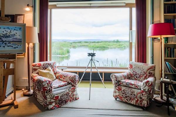 WWT Slimbridge Wetland Centre featured image.